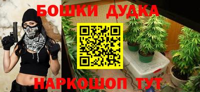 PSILOCYBIN Бузулук