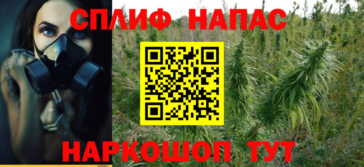 Махачкала  Бошки марихуана ГИДРОПОН  Марихуана VHQ  Бошки марихуана Ganja  Вход с VPN 